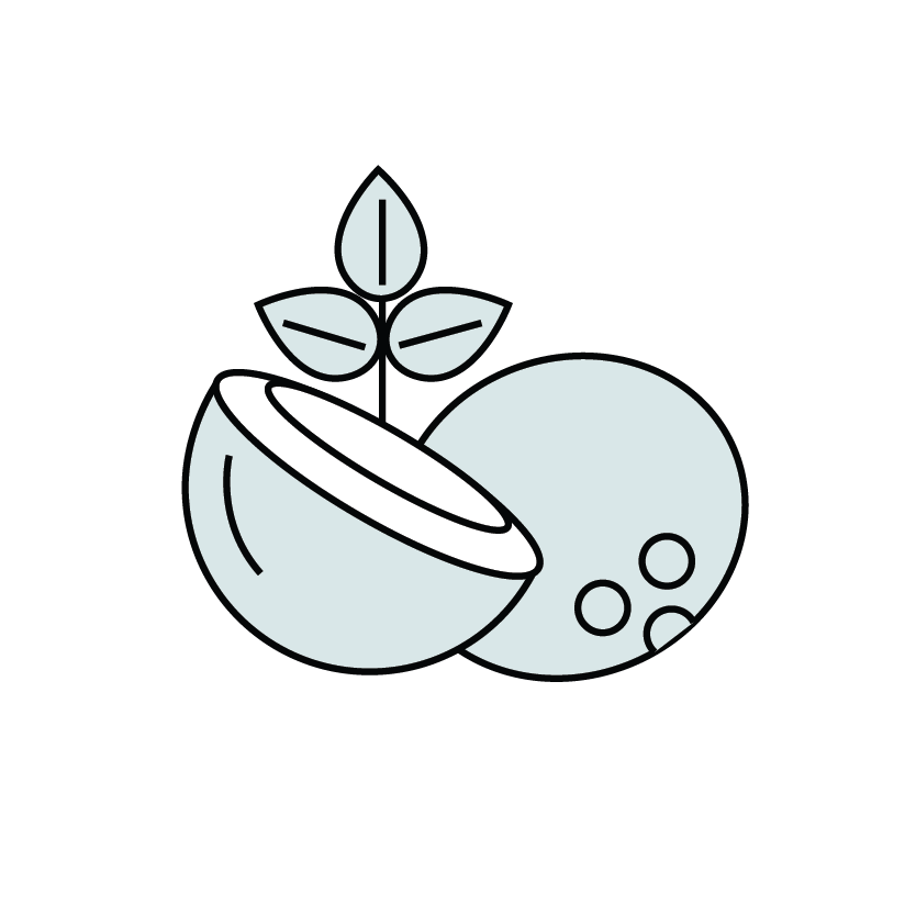vegan-clean-scented-candles-scentille